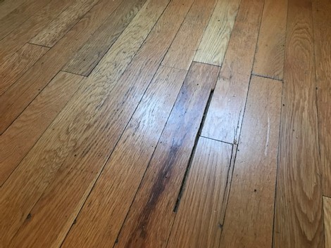 Sliping av gulv: Er det dyrere eller billigere enn å legge nytt? Sliping av gulv